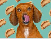 Nutta Buttas Biscuits