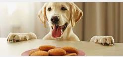 Nutta Buttas Biscuits