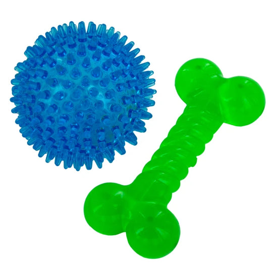 Spiky Ball and Bone Toy
