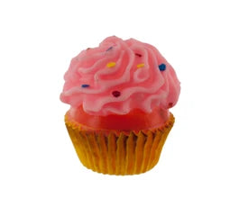 Squeaky Cupcake Dog Toy